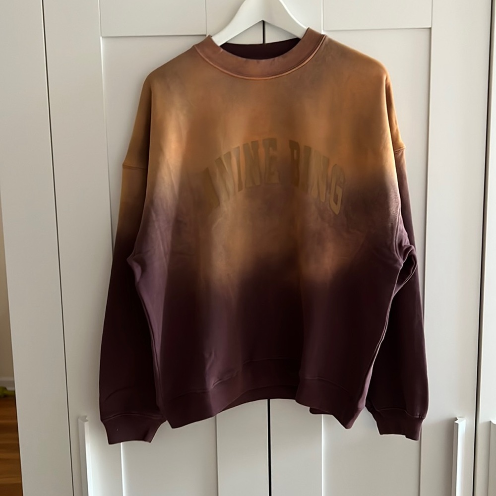 Anine Bing Brown and Gold Ombre Sweatshirt - Picture 6 of 14